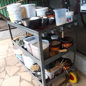 Bird feeding cart (April 19th, 2015)