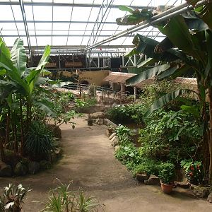 View of the Tropics Hall (April 19th, 2015)