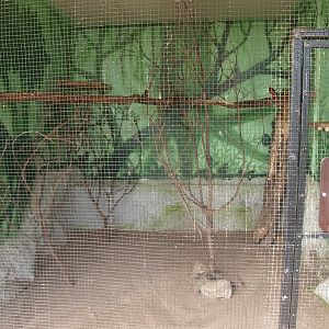 Bearded barbet cage (April 19th, 2015)