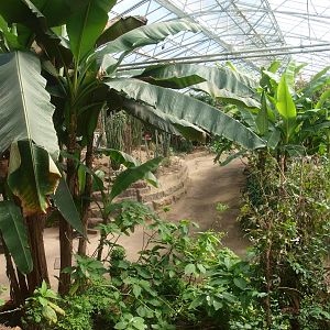 Tropics Hall (April 19th, 2015)