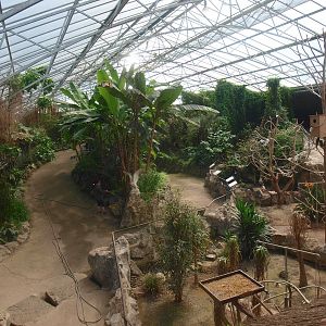 View of the Tropics Hall (April 19th, 2015)