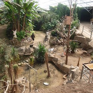View of the tortoise enclosures (April 19th, 2015)