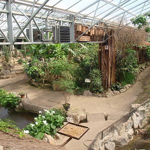 View of the Tropics Hall (April 19th, 2015)