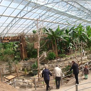 View of the Tropics Hall (April 19th, 2015)