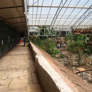 Tropics Hall - second level (April 19th, 2015)