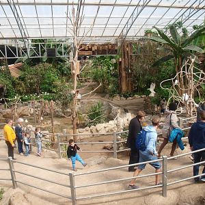 View of the Tropics Hall (April 19th, 2015)