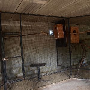 Indoor bird housing (April 19th, 2015)