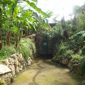 Path to future reptile corridor (April 19th, 2015)