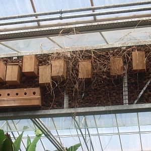 Birds nest (April 19th, 2015)