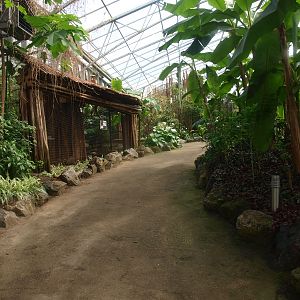 Path in the Tropics Hall (April 19th, 2015)