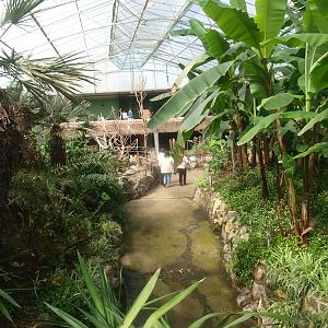 Tropics Hall (April 19th, 2015)