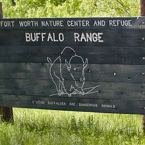 Bison Sign