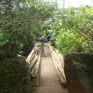 Visitor bridge (April 19th, 2015)