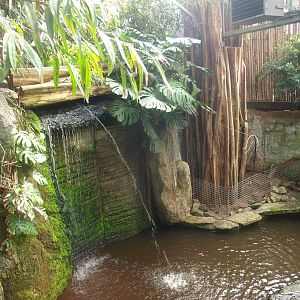 Visitor bridge (April 19th, 2015)