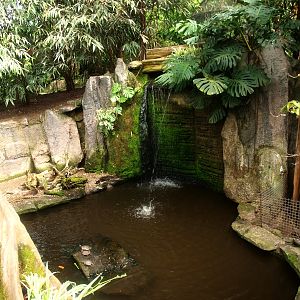 Visitor bridge (April 19th, 2015)