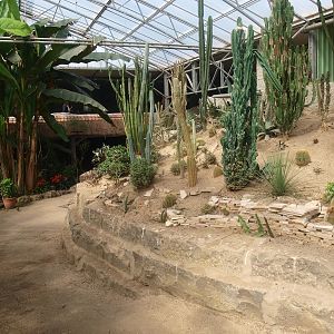 Tropics Hall, path and desert area (April 19th, 2015)