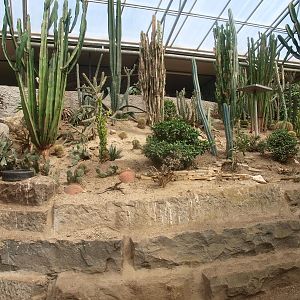 Tropics Hall - desert area (April 19th, 2015)