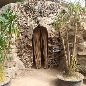 Entrance to the bat cave