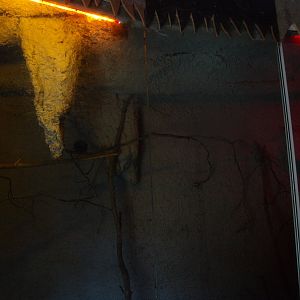 Bat cave (April 19th, 2015)