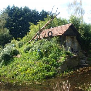 White-fronted lemur island (April 19th, 2015)