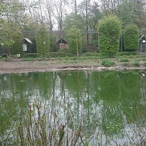 Pond and aviaries