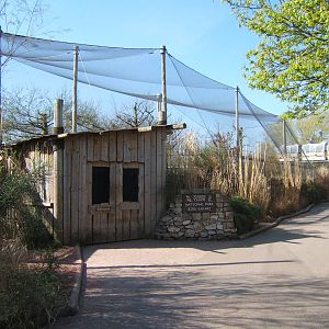 View of the re-netted Tasavo Aviary