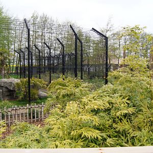 Tiger exhibit