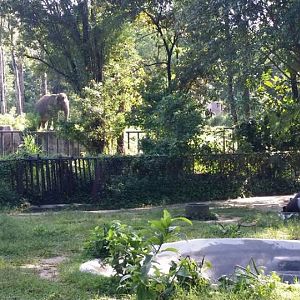 New Elephant Enclosure and Malayan Tapir Enclosure.