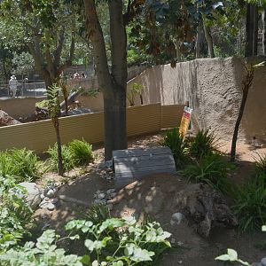 Future Tasmanian Devil Yards