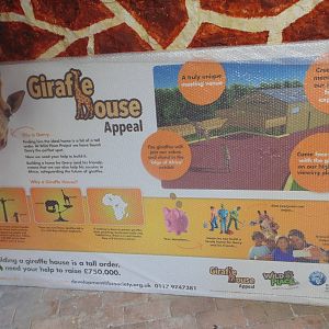 Giraffe House Appeal