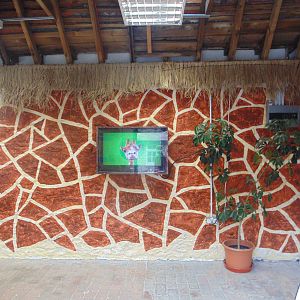 Giraffe House Appeal