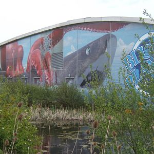 View of outside of building