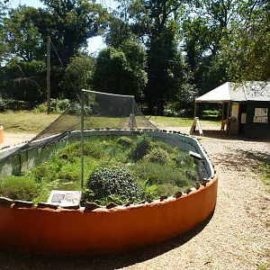 Overview of first enclosure