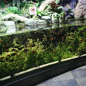 Fish exhibit.