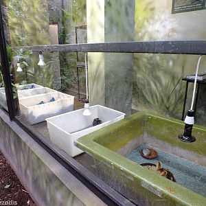 Chicks Rearing Area Viewing Window - Bird House