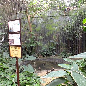 One of the Mixed Aviaries - Bird House