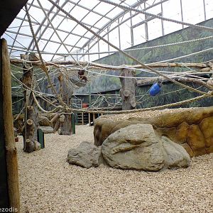 Orangutan Indoor Area - Bird House