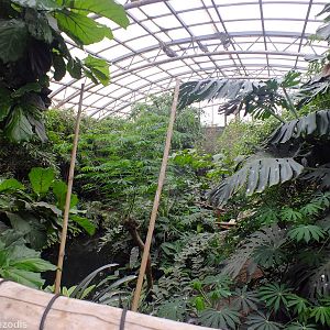 View over Free-flight Bird Building