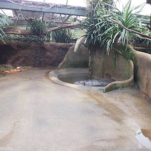 Part of Indoor Area for Pygmy Hippos