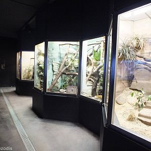 Tanks for Venomous Snakes