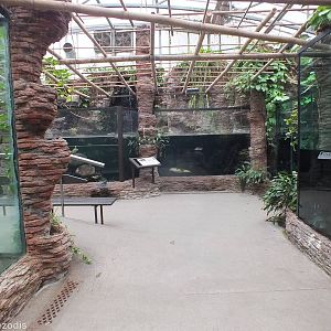 Freshwater Tanks (and corner of Tomistoma Enclosure at front left)