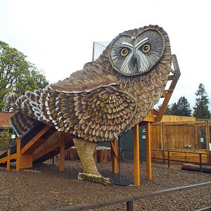 Play Equipment at Scottish Owl Centre - May 6th 2015