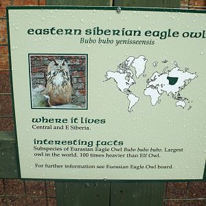 Signage Example at Scottish Owl Centre - May 6th 2015