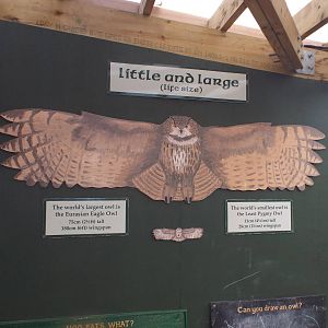 Informational Signage at Scottish Owl Centre - May 6th 2015