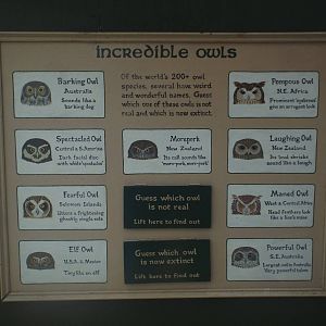 Informational Signage at Scottish Owl Centre - May 6th 2015