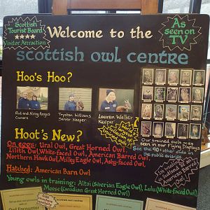 Welcome Signage at Scottish Owl Centre - May 6th 2015