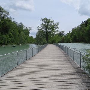 Pelican enclosure along the Aare river