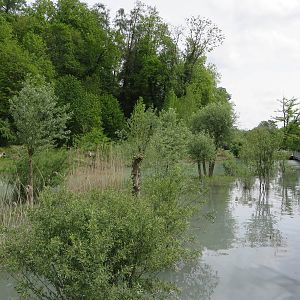 European otter enclosure along the Aare river