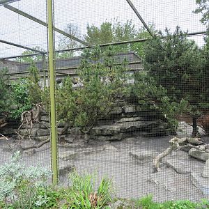 Ptarmigan aviary