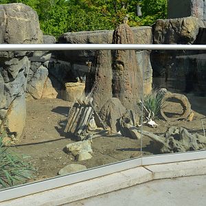 Animal Discovery Zoo - Meerkat Exhibit